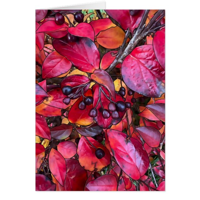 Höstkonst - 5 x 7-tums bildkort hälsningskort (Framsidan)