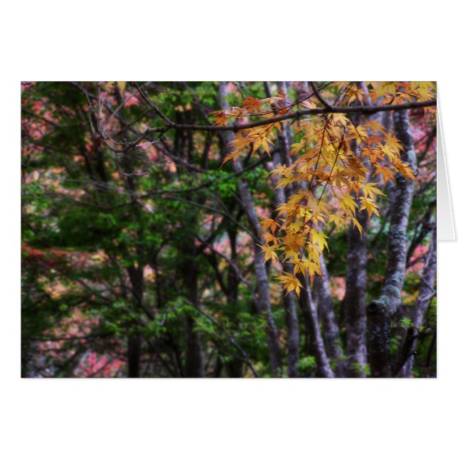 Höstkort för Kärlek Hälsningskort (Framsidan Horizontal)