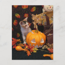 Höstkupong - Halloween-kort Helg Vykort