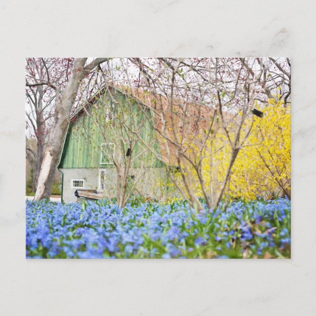Höstladugård med blå blomsterfält vykort (Framsida)