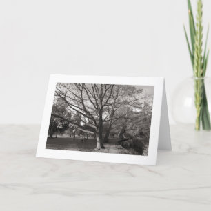 Höstlandskap, Bute Park, Cardiff (gränsad) Kort