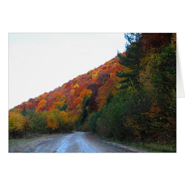 Höstlandskap Hälsningskort (Framsidan Horizontal)