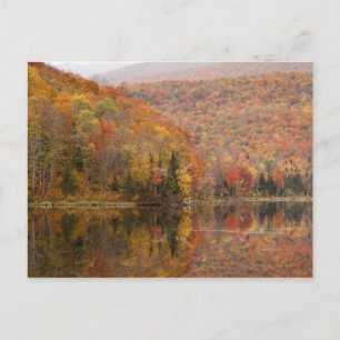 Höstlandskap med sjö, Vermont, USA 2 Vykort