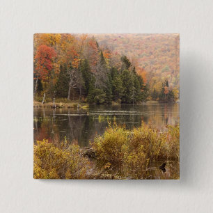 Höstlandskap med sjö, Vermont, USA 3 Knapp