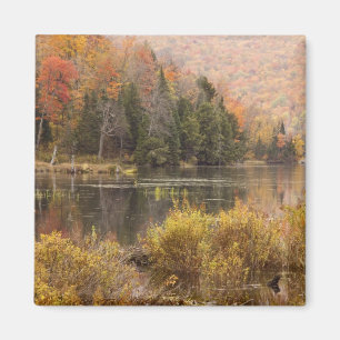 Höstlandskap med sjö, Vermont, USA 3 Magnet