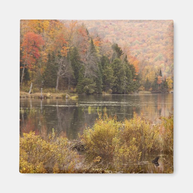 Höstlandskap med sjö, Vermont, USA 3 Magnet (Framsidan)