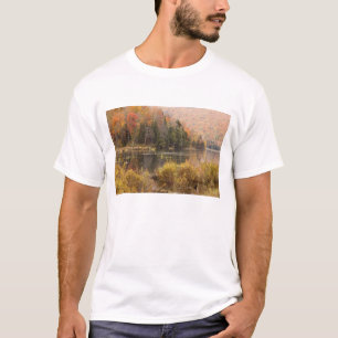 Höstlandskap med sjö, Vermont, USA 3 T-shirt