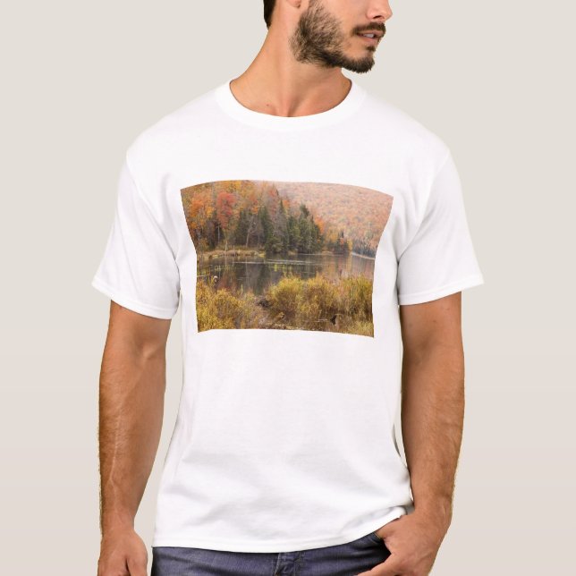 Höstlandskap med sjö, Vermont, USA 3 T-shirt (Framsida)