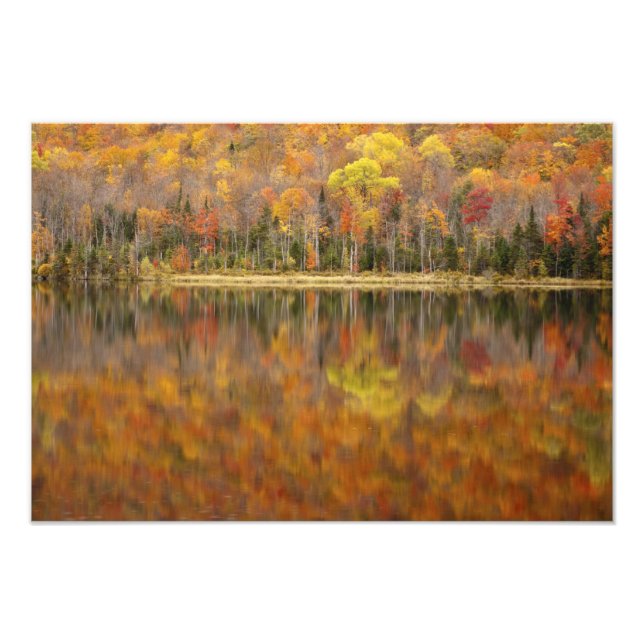 Höstlandskap med sjö, Vermont, USA Fototryck (Framsidan)