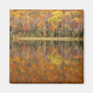 Höstlandskap med sjö, Vermont, USA Magnet