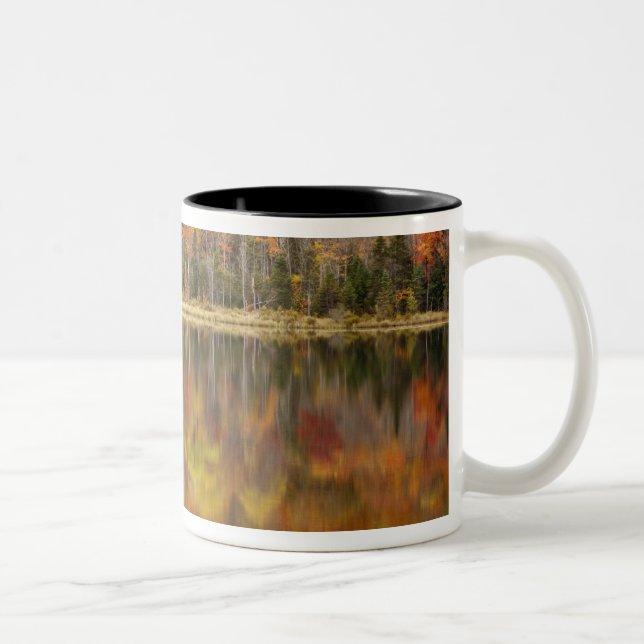 Höstlandskap med sjö, Vermont, USA Två-Tonad Mugg (Höger)