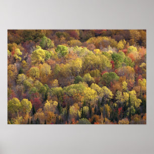Höstlandskap, Vermont, USA 2 Poster