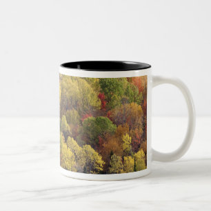 Höstlandskap, Vermont, USA 2 Två-Tonad Mugg