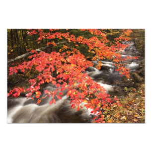 Höstlandskap, Vermont, USA 4 Fototryck