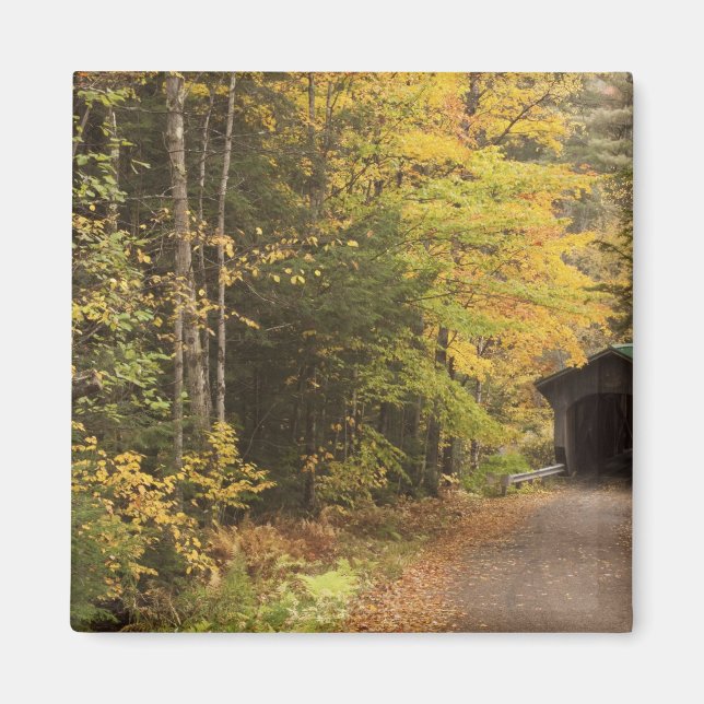 Höstlandskap, Vermont, USA 4 Magnet (Framsidan)