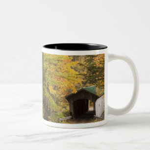 Höstlandskap, Vermont, USA 4 Två-Tonad Mugg