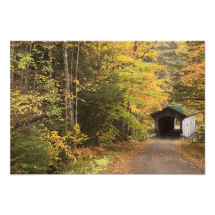 Höstlandskap, Vermont, USA Fototryck