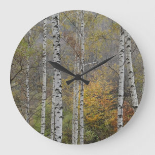 Höstlås för foto från Birch Skogen Stor Klocka