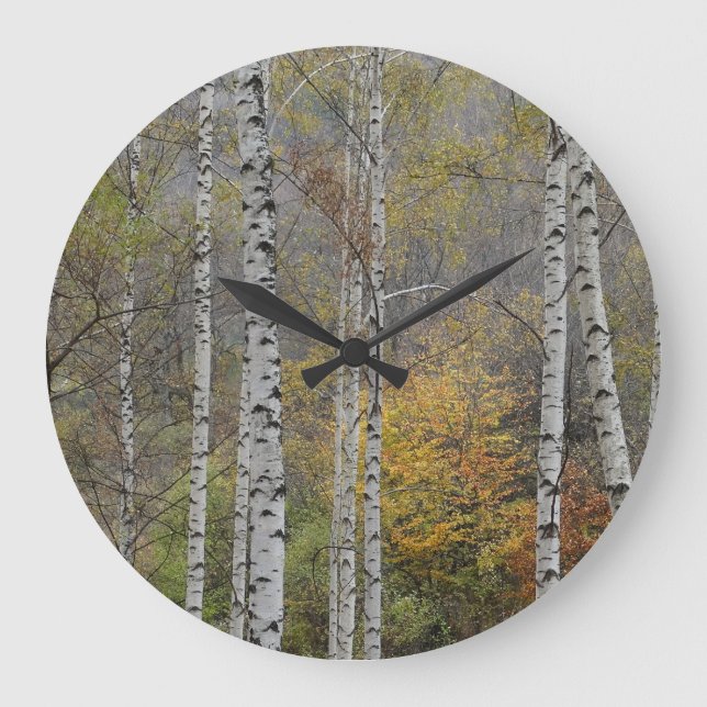 Höstlås för foto från Birch Skogen Stor Klocka (Framsida)