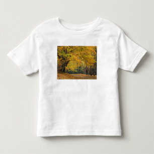 Höstlönn överhängande landsväg, t shirt