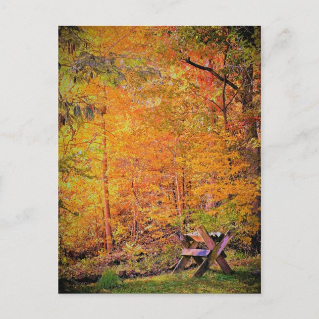 Höstmagasin Vykort (Framsida)