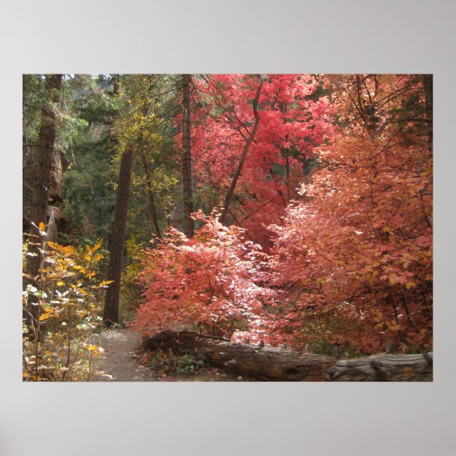 Höstmajestät (3) Poster (Framsidan)