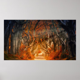 Höstmapel träd skogsfall skogen blad poster