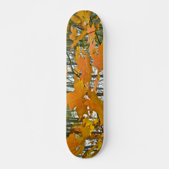 Höstmapelblomma Mini Skateboard Bräda 18,7 Cm (Framsida)