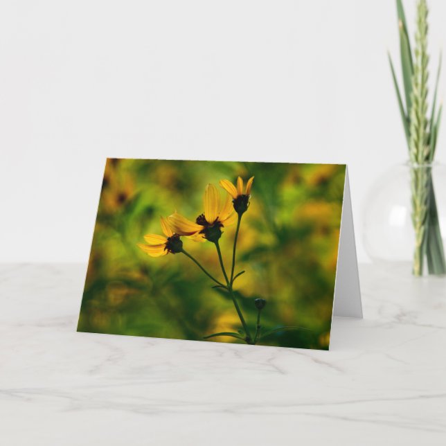 Höstmetoden Kort (Framsida)