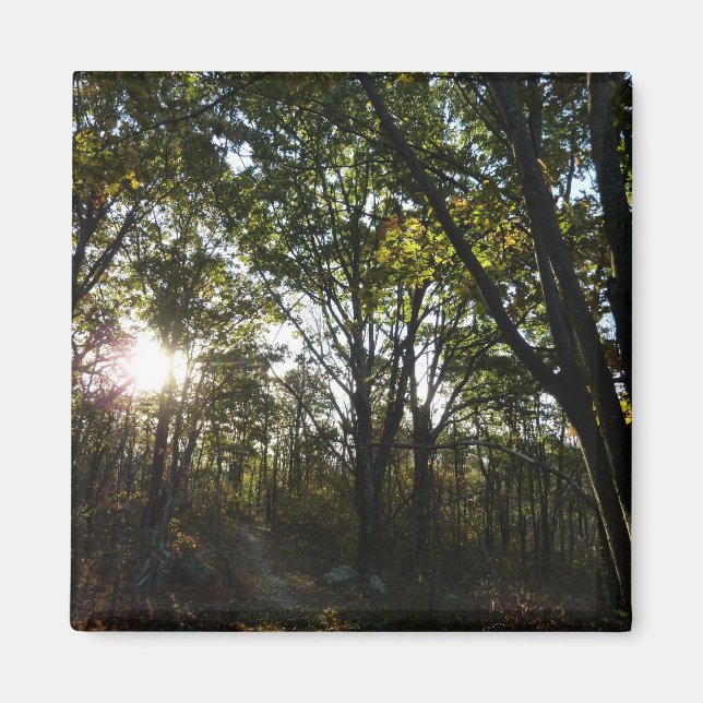 Höstmorgon i Shenandoah nationalpark Magnet (Framsidan)