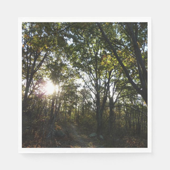 Höstmorgon i Shenandoah nationalpark Pappersservett (Framsidan)