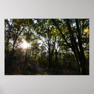 Höstmorgon i Shenandoah nationalpark Poster