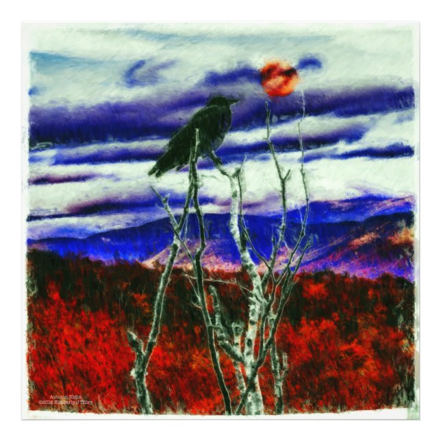 Höstnatt Fototryck (Framsidan)