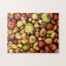 Höstnöt och conkers