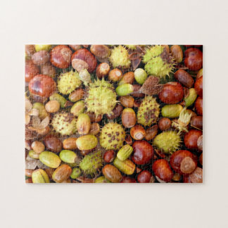 Höstnöt och conkers pussel