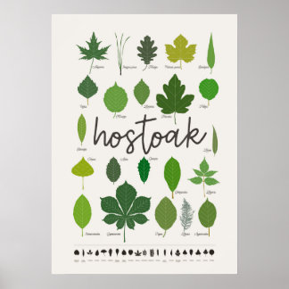 Hostoak ・ Hojas Poster