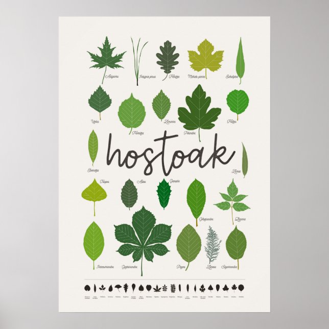 Hostoak ・ Hojas Poster (Framsidan)