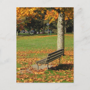 Höstparkens Bench-vykort Vykort