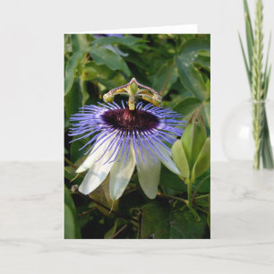 Höstpassering blomma kort