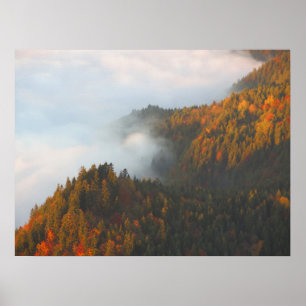Höstpieniny clouds poster
