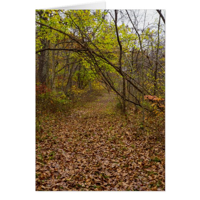 Höstpromenad Välkomstkort Hälsningskort (Framsidan)