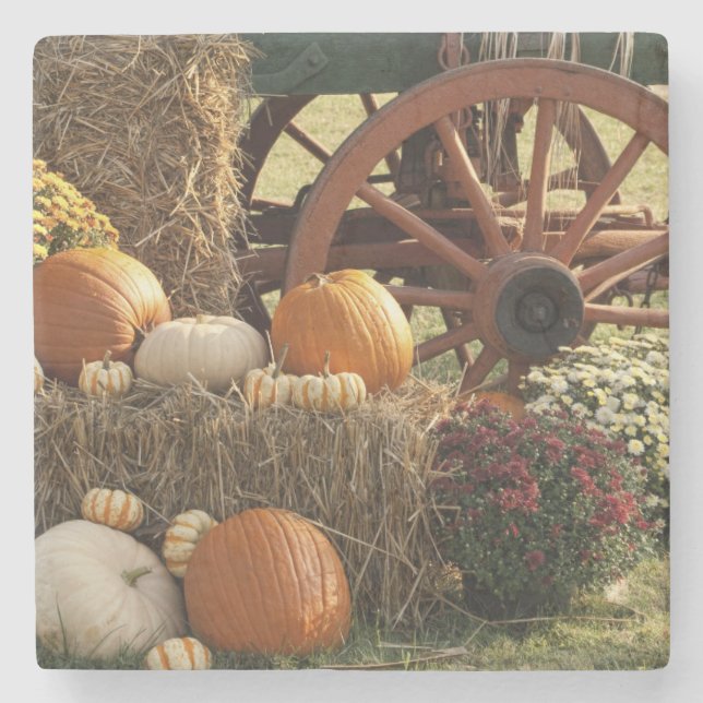 Höstpumpa och Morsa Visning Stenunderlägg (Framsidan)