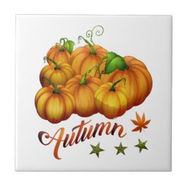 Höstpumpor Kakelplatta