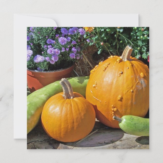 Höstpumpor och blommor (Framsida)