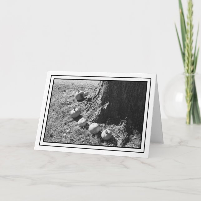 Höstpumprat Blankt gratulationskort Kort (Framsida)