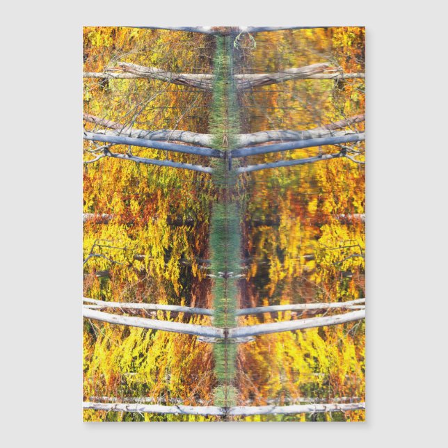 Höstreflektion (Framsida)