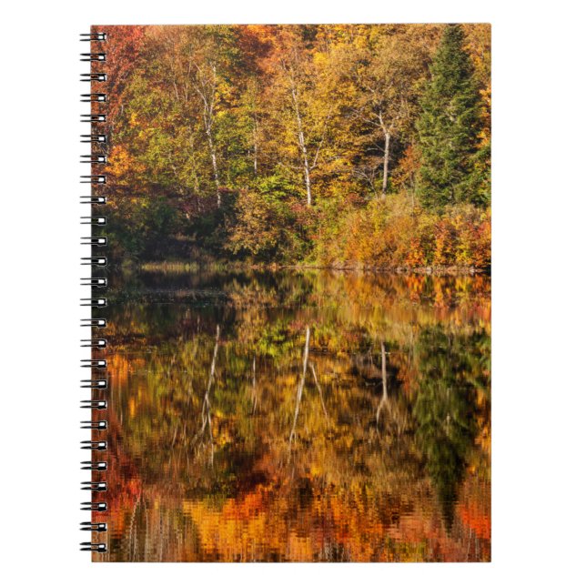 Höstreflektion över Coffin Pond Anteckningsbok (Framsidan)