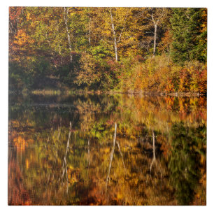 Höstreflektion över Coffin Pond Kakelplatta