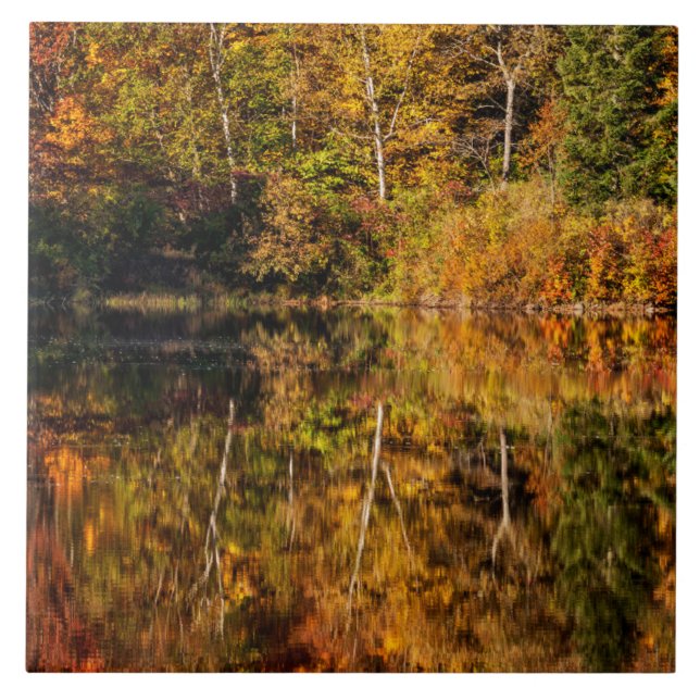 Höstreflektion över Coffin Pond Kakelplatta (Framsidan)
