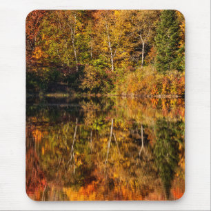 Höstreflektion över Coffin Pond Musmatta